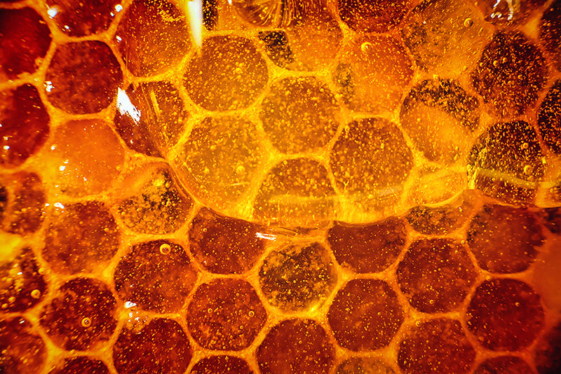 Organic beeswax in honeycomb pattern saturated with golden honey