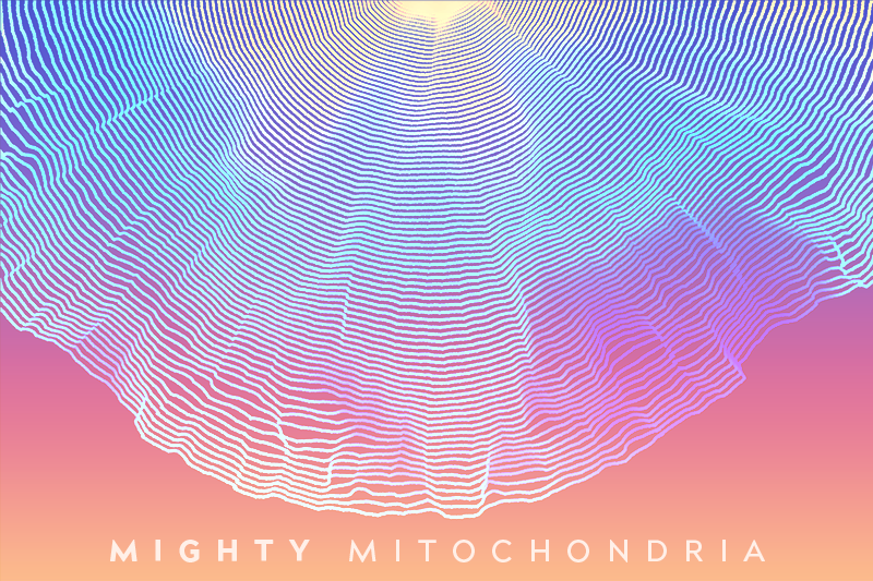 Maximize your Mighty Mitochondria for Supervital Active Longevity