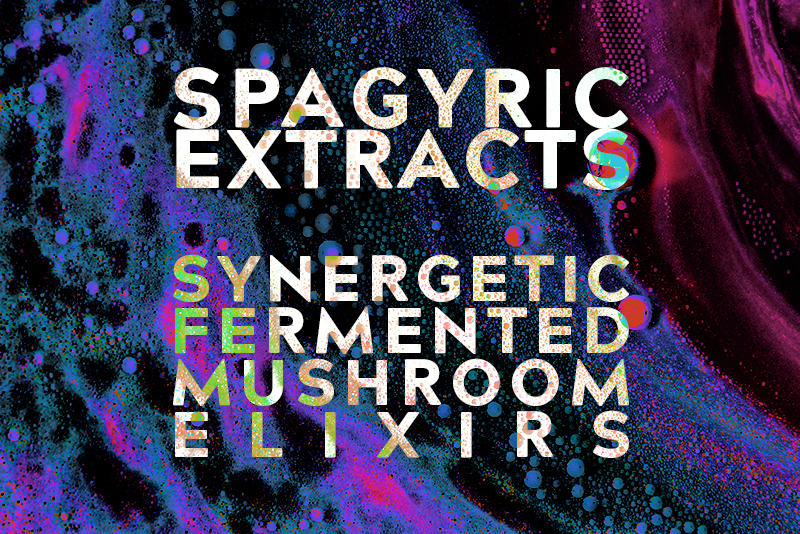 Spagyric Extracts: Synergetic Fermented Mushroom Elixirs